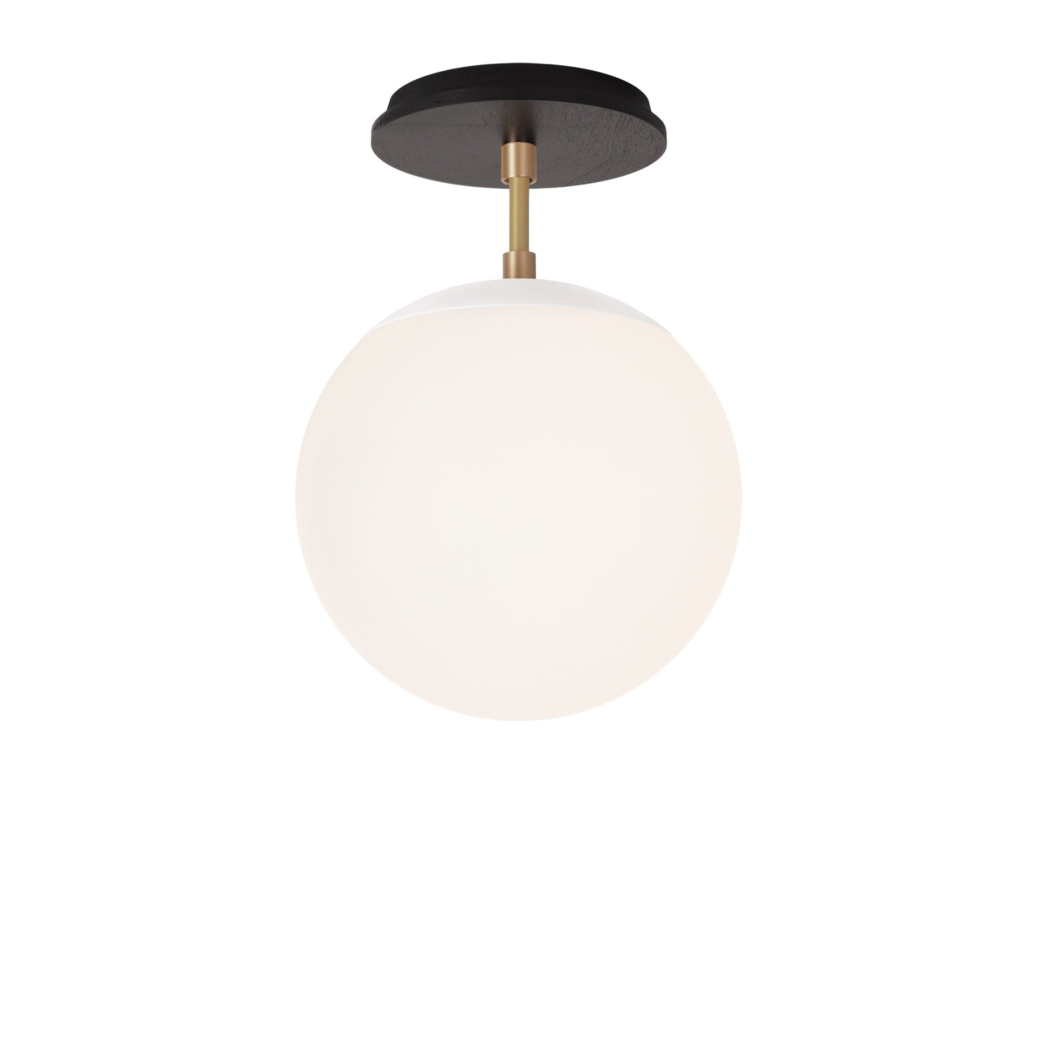 Alto Surface 8" shown in White with Brass and a Black Stained Wood Canopy