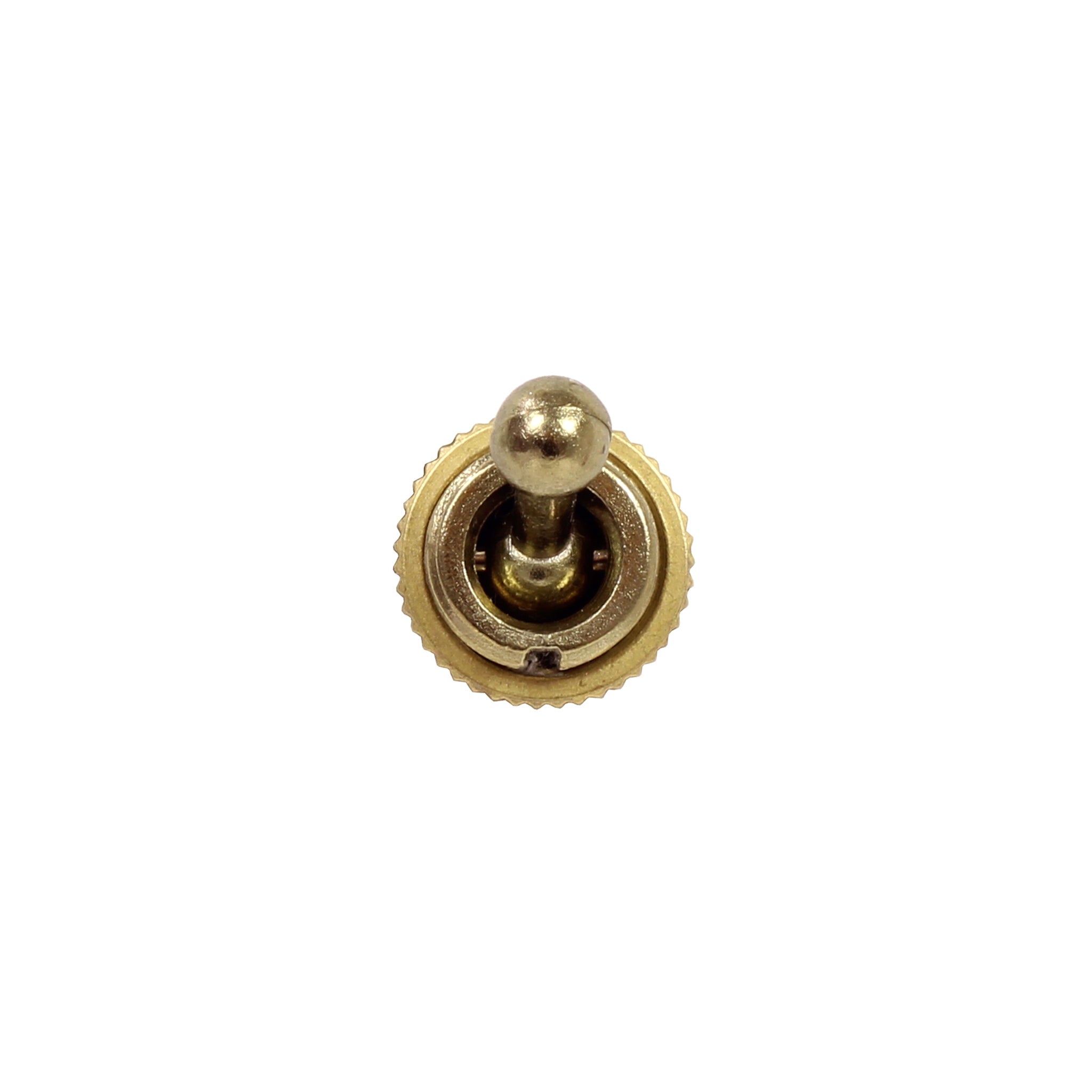 A Brass Toggle Switch On A White Background