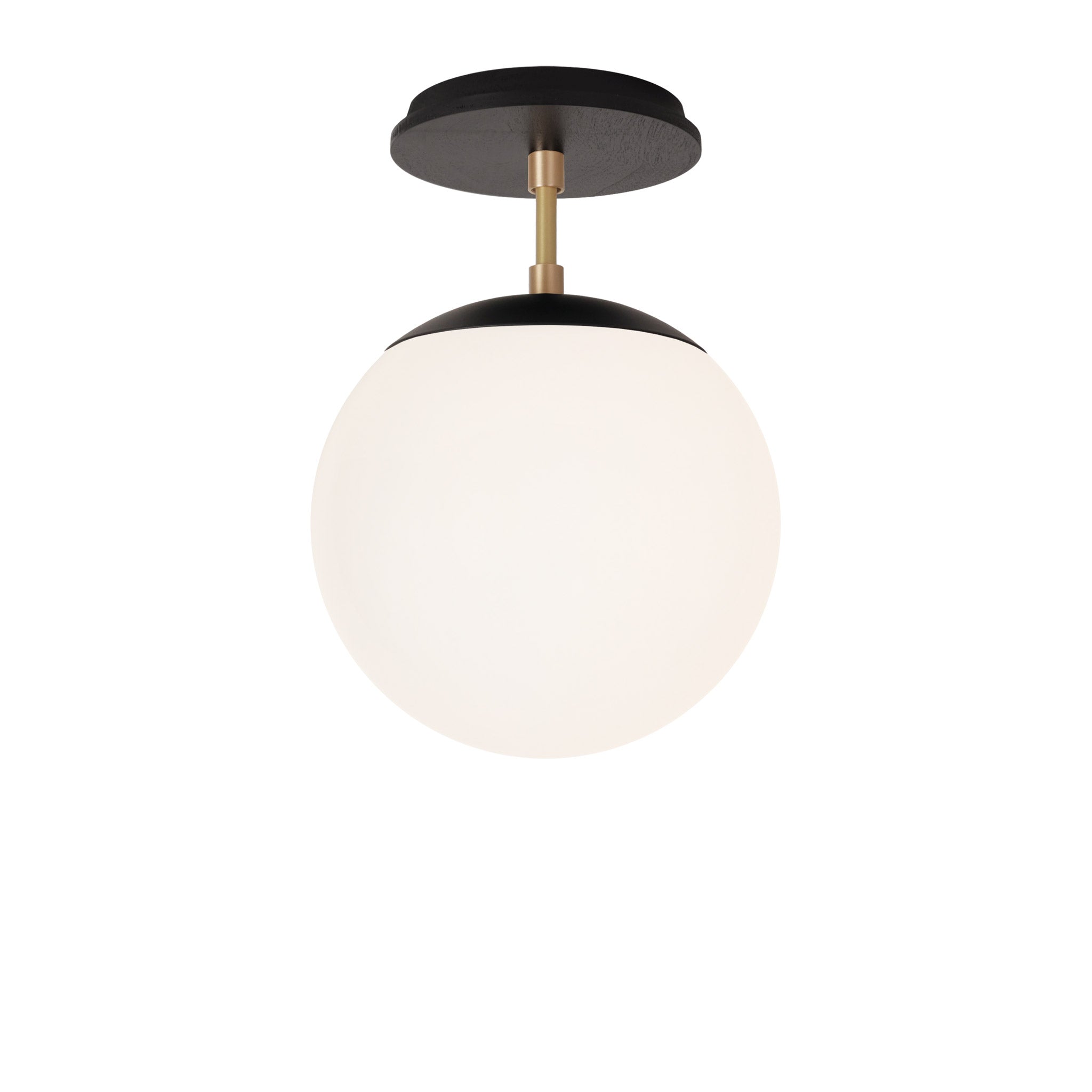 Alto Surface 8" shown in Matte Black with Brass and a Black Stained Wood Canopy
