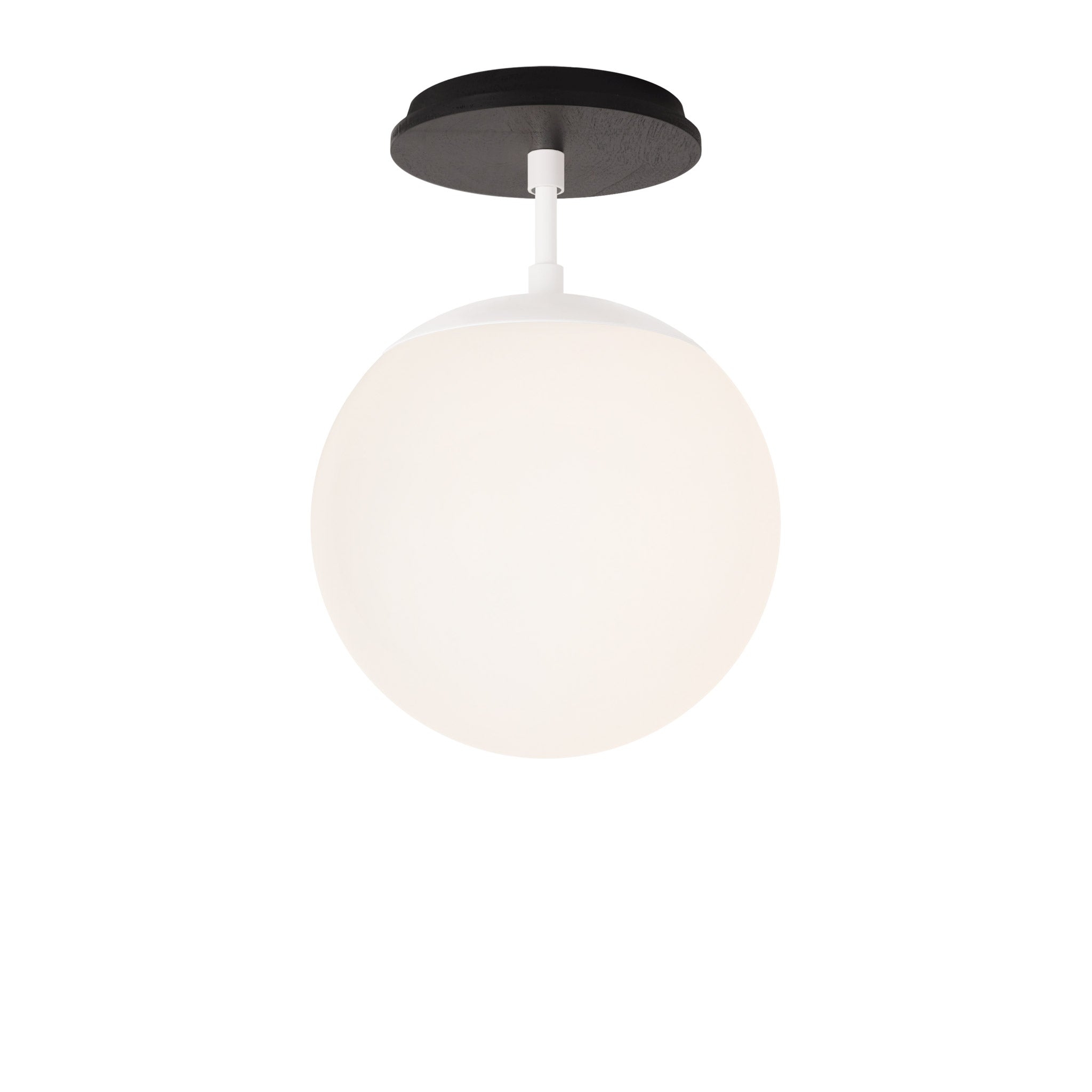 Alto Surface 8" shown in White with a Black Stained Wood Canopy