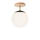 Alto Surface 8" shown in Matte Black with Brass and a Maple Wood Canopy