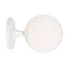 Moss 6" Sconce shown in White