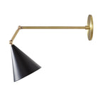 Petra Articulated shown in Black and Brass with a 12" arm