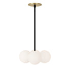 Selene Compass shown in Matte Black with a Brass Canopy
