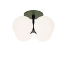 Selene Compass Surface shown in Matte Black with a Secret Garden Green Canopy
