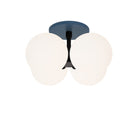Selene Compass Surface shown in Matte Black with an Ocean Blue Canopy