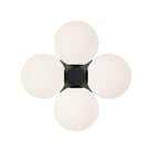 Selene Compass shown in Matte Black with a Secret Garden Green Canopy