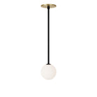 Selene Pendant shown in Matte Black with a Brass Canopy