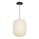 Umi Pendant shown in Brass with a Black Stained Wood Canopy