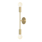 Venus Long shown in Brass cup and canopy finish with Brass accent finish