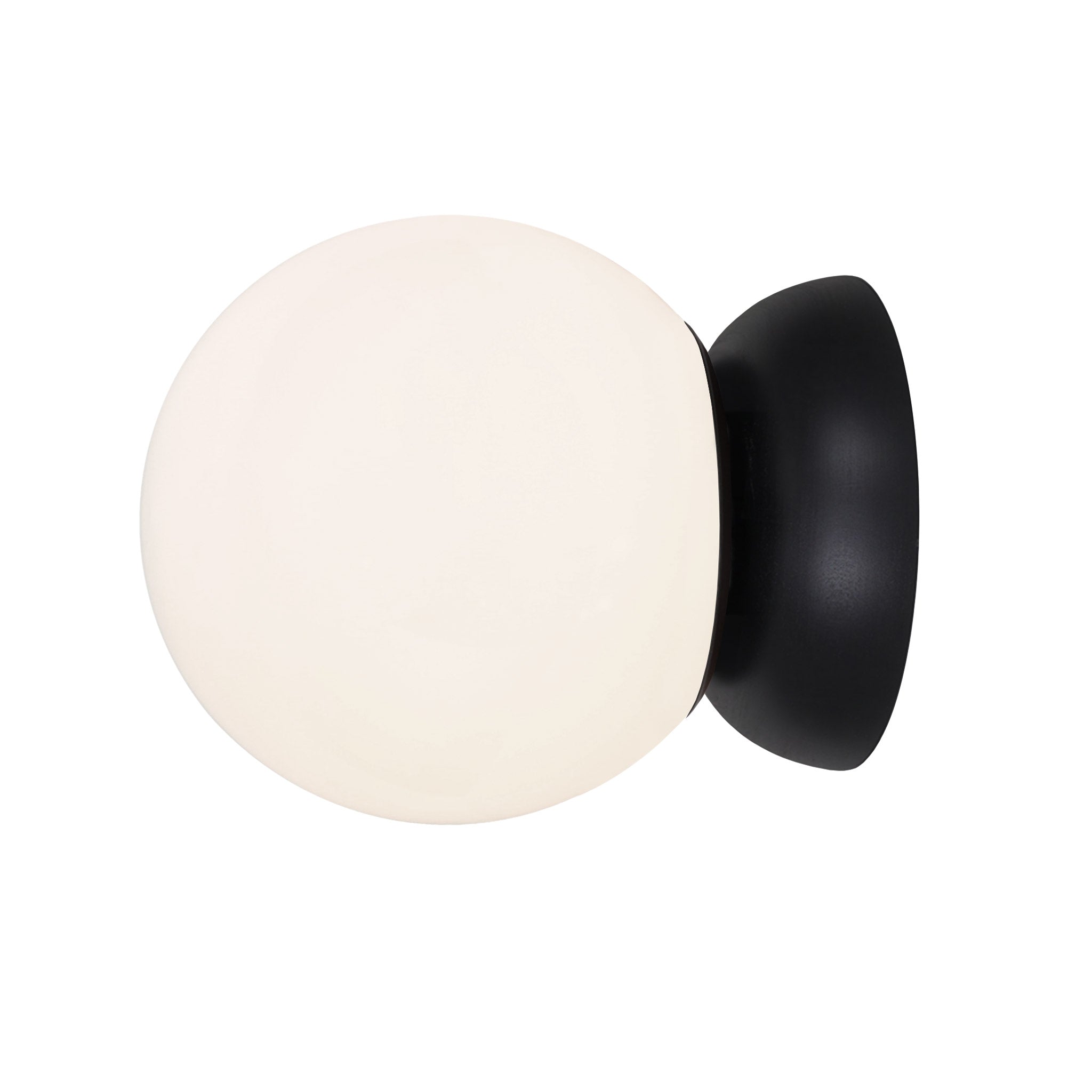 Wren 8" shown in Black Stained
