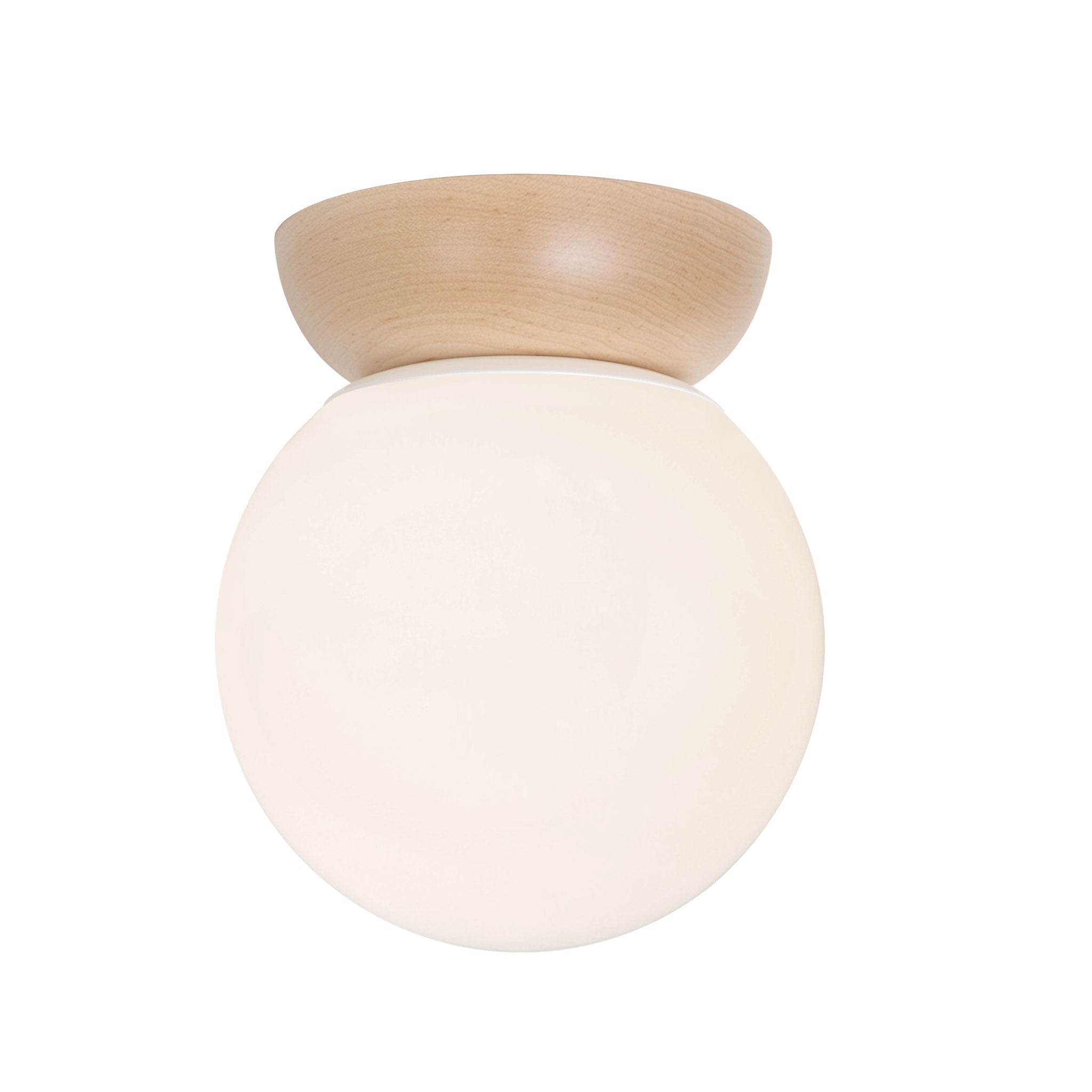 Wren 8" shown in Maple