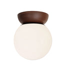 Wren 8" shown in Walnut