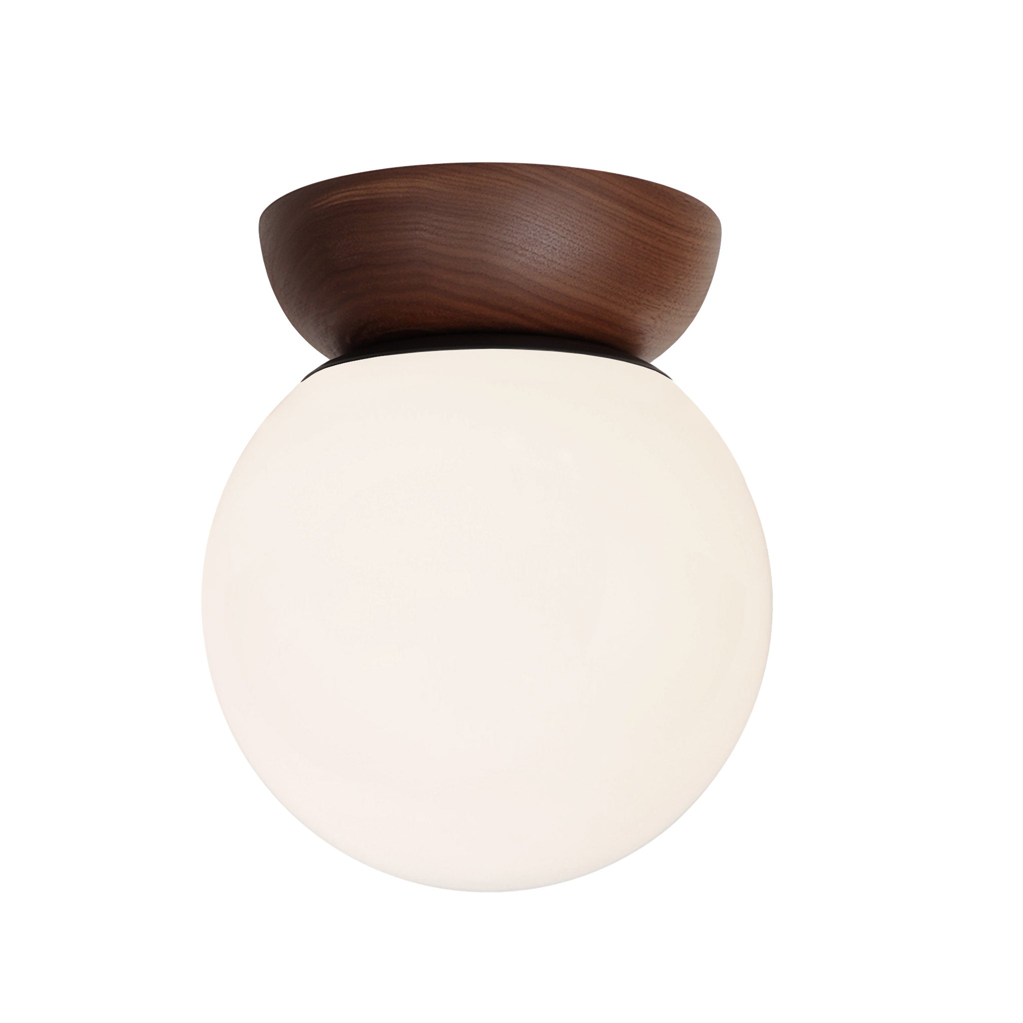 Wren 8" shown in Walnut