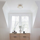 Terra Lexi Large 8" shown in Bone ceramic with a Maple wood canopy