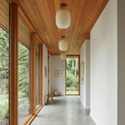 Umi Surface lights shown in Heirloom Brass with Walnut Wood Canopies