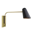 Cedar and Moss Wildwood Swing shown in Matte Black with Brass, hardwired option