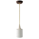 Cedar and Moss - Tumwater Small Pendant shown in Brass and Walnut