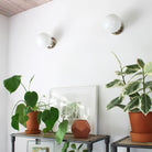 Moss 6" Sconce shown in Polished Nickel